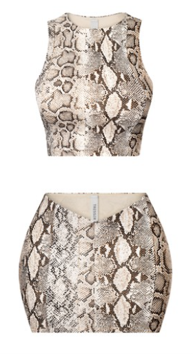 Snake Print Crop Top & Mini Skirt Set