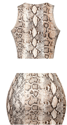 Snake Print Crop Top & Mini Skirt Set